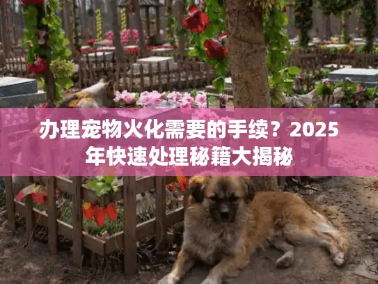 办理宠物火化需要的手续？2025年快速处理秘籍大揭秘