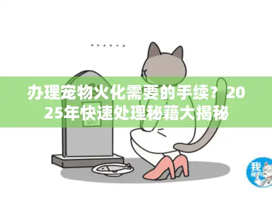 办理宠物火化需要的手续？2025年快速处理秘籍大揭秘