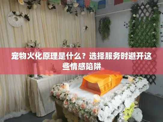 宠物火化原理是什么？选择服务时避开这些情感陷阱
