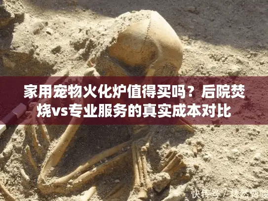 家用宠物火化炉值得买吗？后院焚烧vs专业服务的真实成本对比