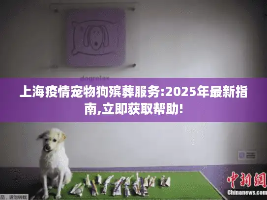 上海疫情宠物狗殡葬服务:2025年最新指南,立即获取帮助!