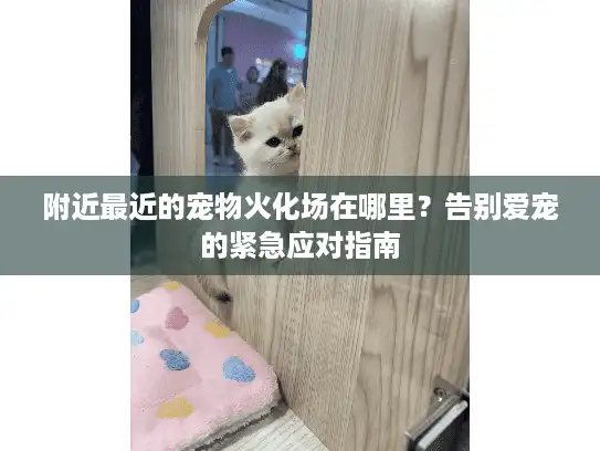 附近最近的宠物火化场在哪里？告别爱宠的紧急应对指南