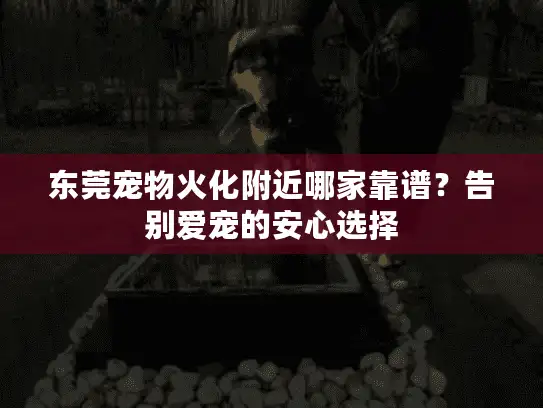 东莞宠物火化附近哪家靠谱？告别爱宠的安心选择