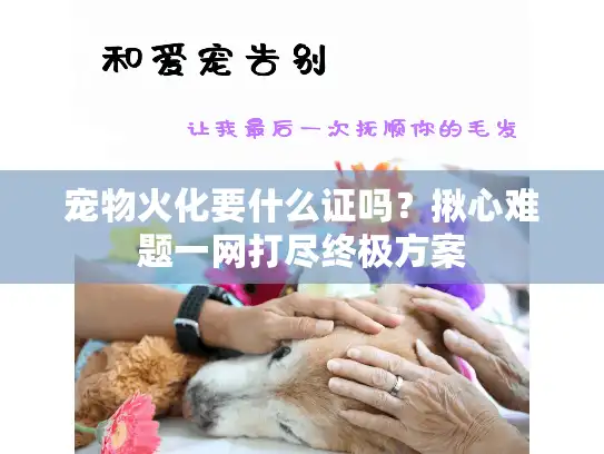 宠物火化要什么证吗？揪心难题一网打尽终极方案
