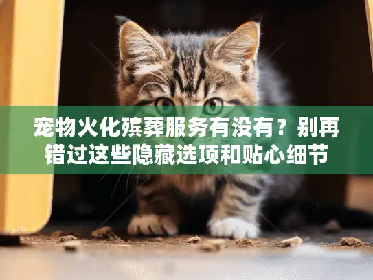 宠物火化殡葬服务有没有？别再错过这些隐藏选项和贴心细节
