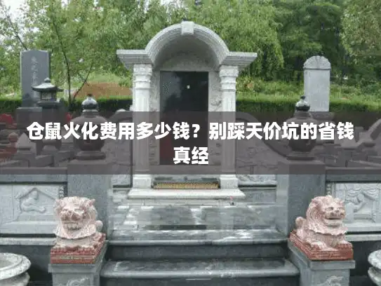 仓鼠火化费用多少钱？别踩天价坑的省钱真经