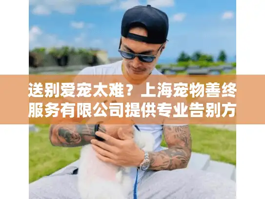送别爱宠太难？上海宠物善终服务有限公司提供专业告别方案