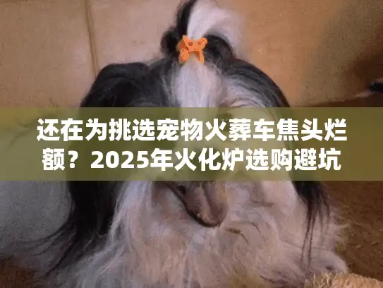还在为挑选宠物火葬车焦头烂额？2025年火化炉选购避坑终极清单