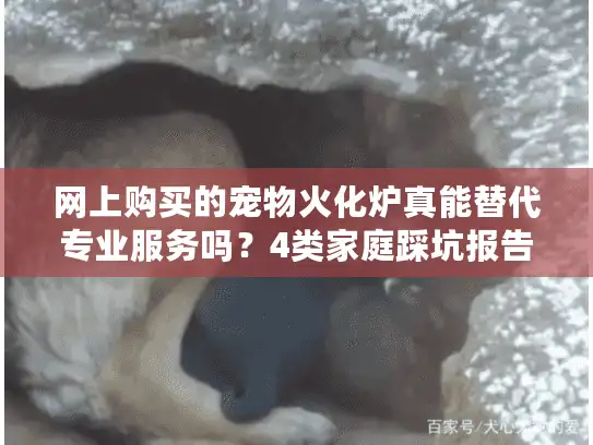 网上购买的宠物火化炉真能替代专业服务吗？4类家庭踩坑报告
