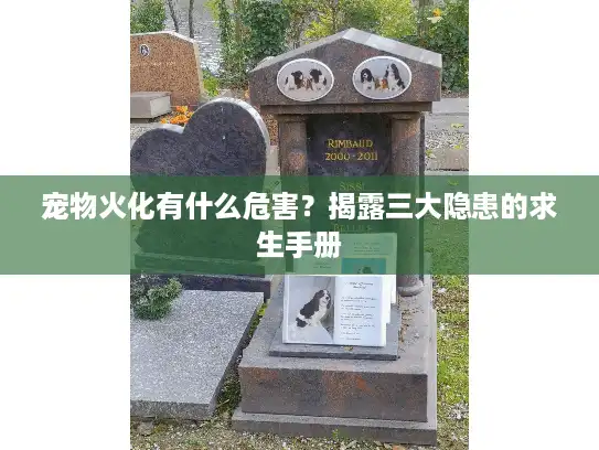宠物火化有什么危害？揭露三大隐患的求生手册