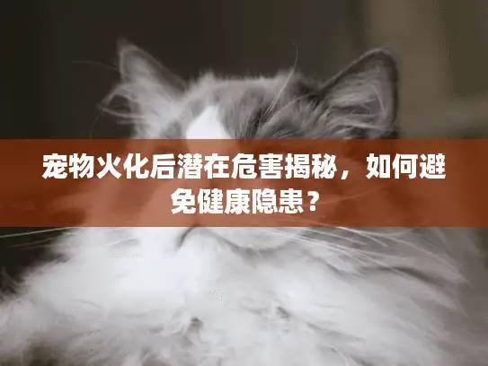 宠物火化后潜在危害揭秘，如何避免健康隐患？
