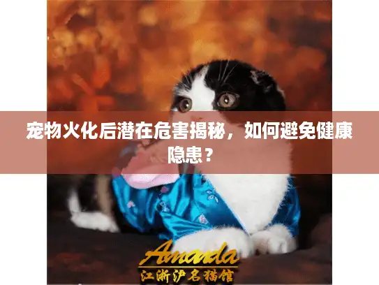 宠物火化后潜在危害揭秘，如何避免健康隐患？