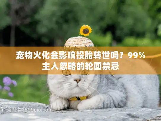 宠物火化会影响投胎转世吗？99%主人忽略的轮回禁忌