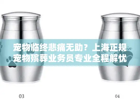 宠物临终悲痛无助？上海正规宠物殡葬业务员专业全程解忧