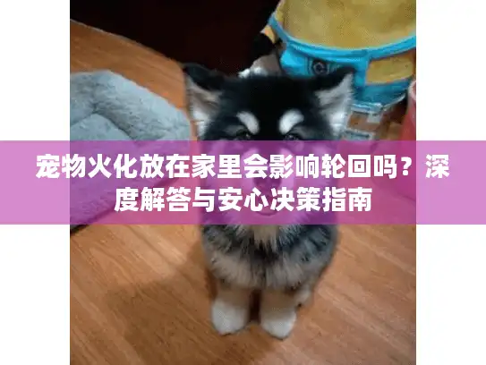 宠物火化放在家里会影响轮回吗？深度解答与安心决策指南