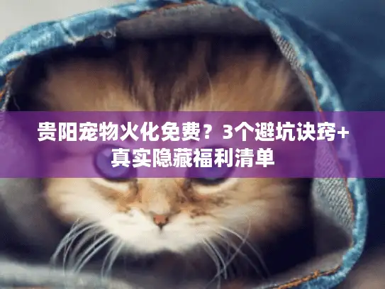贵阳宠物火化免费？3个避坑诀窍+真实隐藏福利清单