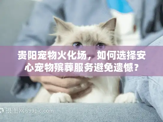 贵阳宠物火化场，如何选择安心宠物殡葬服务避免遗憾？