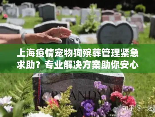 上海疫情宠物狗殡葬管理紧急求助？专业解决方案助你安心告别