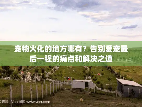 宠物火化的地方哪有？告别爱宠最后一程的痛点和解决之道