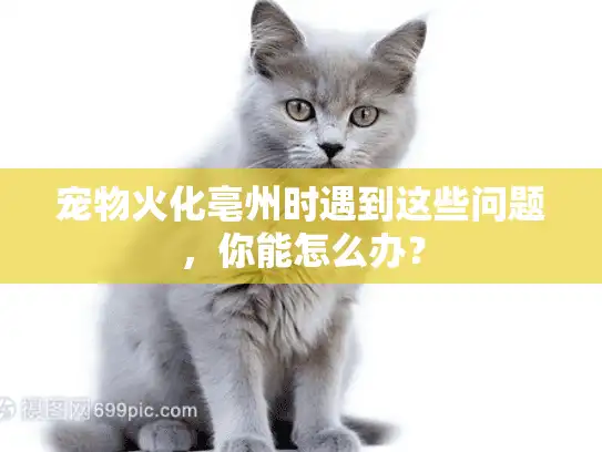 宠物火化亳州时遇到这些问题，你能怎么办？