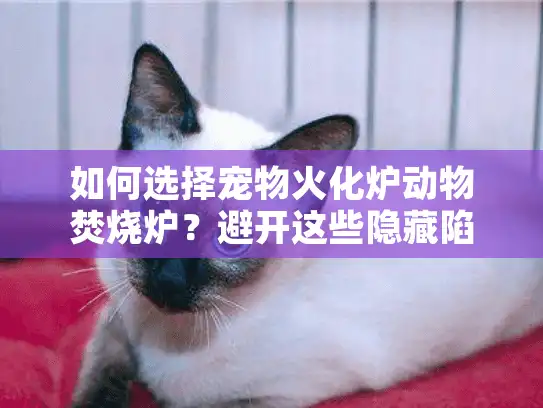 如何选择宠物火化炉动物焚烧炉？避开这些隐藏陷阱！