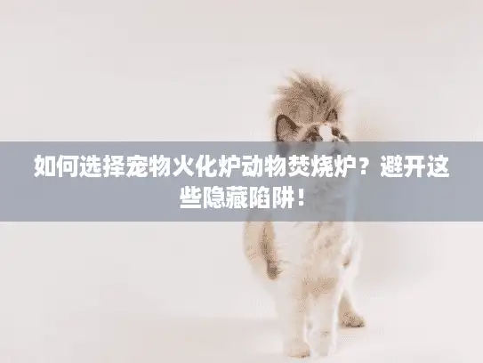 如何选择宠物火化炉动物焚烧炉？避开这些隐藏陷阱！