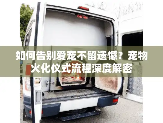 如何告别爱宠不留遗憾？宠物火化仪式流程深度解密