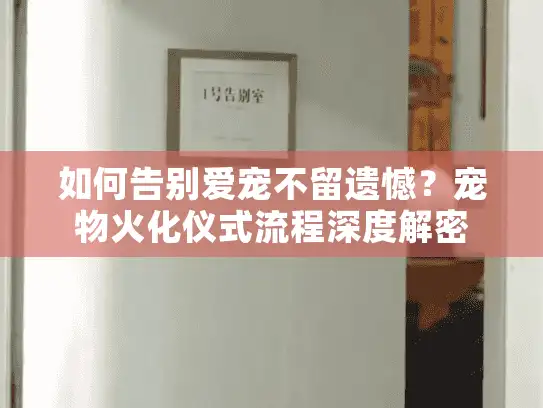 如何告别爱宠不留遗憾？宠物火化仪式流程深度解密