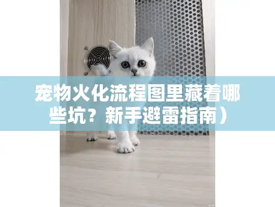 宠物火化流程图里藏着哪些坑？新手避雷指南）