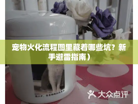 宠物火化流程图里藏着哪些坑？新手避雷指南）