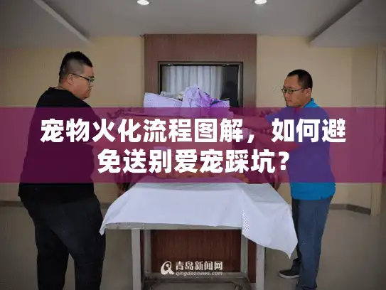 宠物火化流程图解，如何避免送别爱宠踩坑？