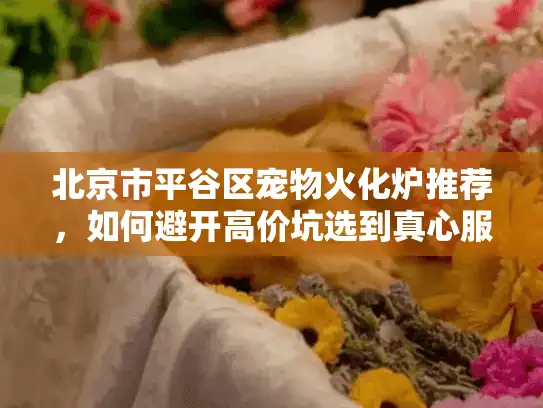 北京市平谷区宠物火化炉推荐，如何避开高价坑选到真心服务？