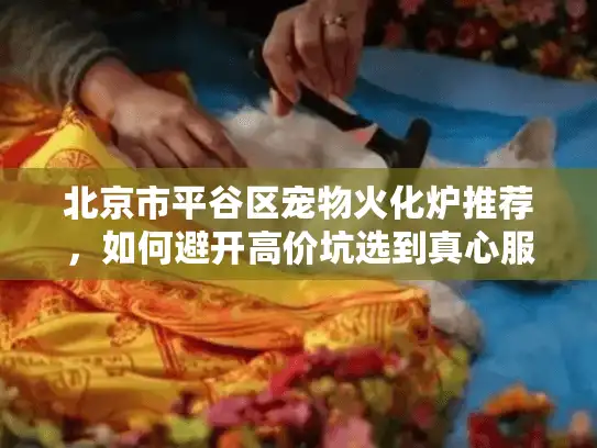 北京市平谷区宠物火化炉推荐，如何避开高价坑选到真心服务？