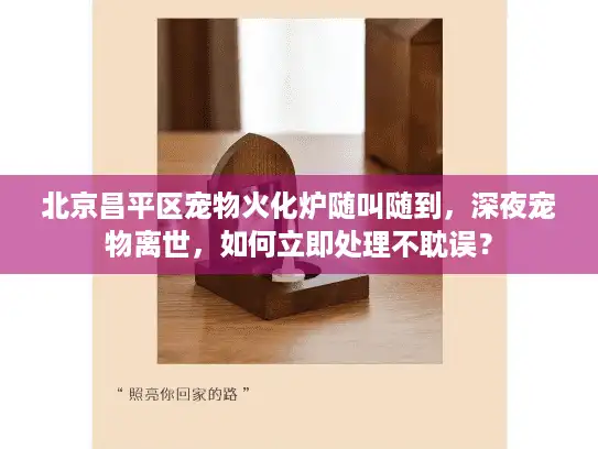 北京昌平区宠物火化炉随叫随到，深夜宠物离世，如何立即处理不耽误？
