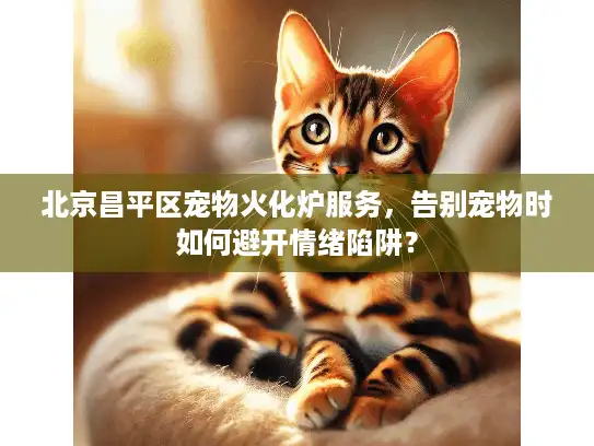北京昌平区宠物火化炉服务，告别宠物时如何避开情绪陷阱？