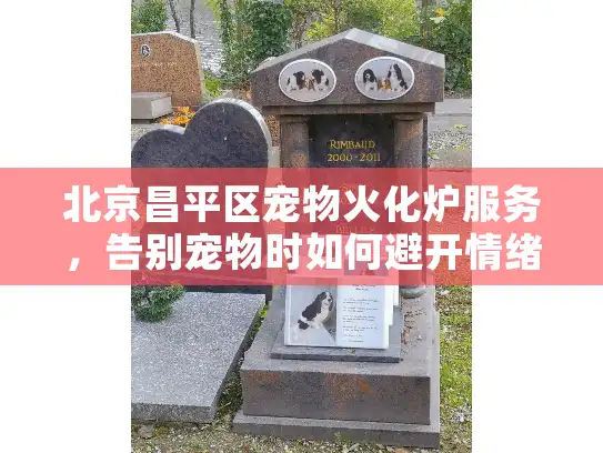 北京昌平区宠物火化炉服务，告别宠物时如何避开情绪陷阱？