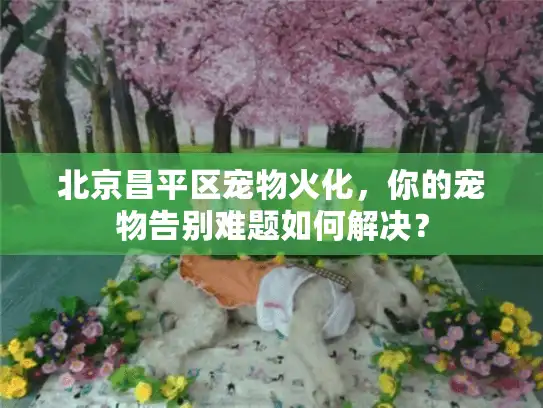 北京昌平区宠物火化，你的宠物告别难题如何解决？