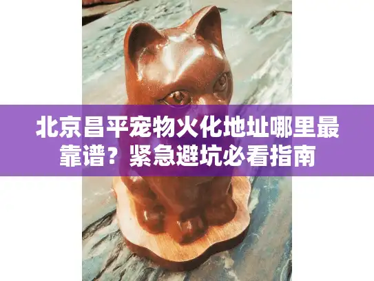 北京昌平宠物火化地址哪里最靠谱？紧急避坑必看指南
