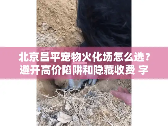 北京昌平宠物火化场怎么选？避开高价陷阱和隐藏收费 字符数，16）