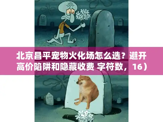 北京昌平宠物火化场怎么选？避开高价陷阱和隐藏收费 字符数，16）