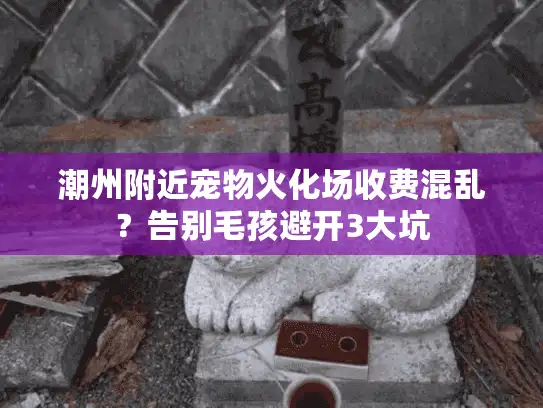 潮州附近宠物火化场收费混乱？告别毛孩避开3大坑
