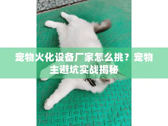 宠物火化设备厂家怎么挑？宠物主避坑实战揭秘