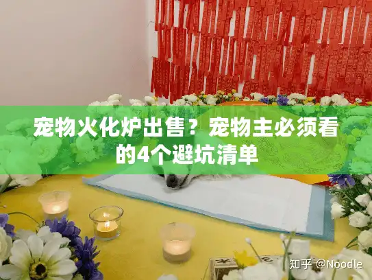 宠物火化炉出售？宠物主必须看的4个避坑清单