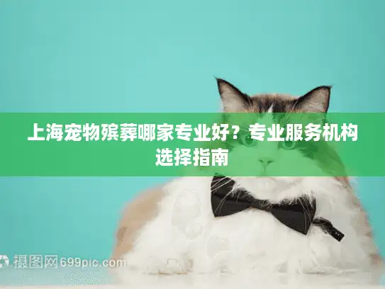 上海宠物殡葬哪家专业好？专业服务机构选择指南