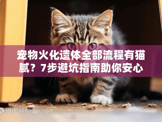 宠物火化遗体全部流程有猫腻？7步避坑指南助你安心送别爱宠