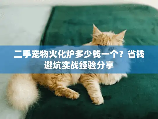 二手宠物火化炉多少钱一个？省钱避坑实战经验分享