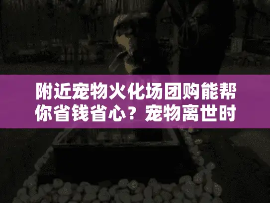 附近宠物火化场团购能帮你省钱省心？宠物离世时的高成本痛点多难熬！