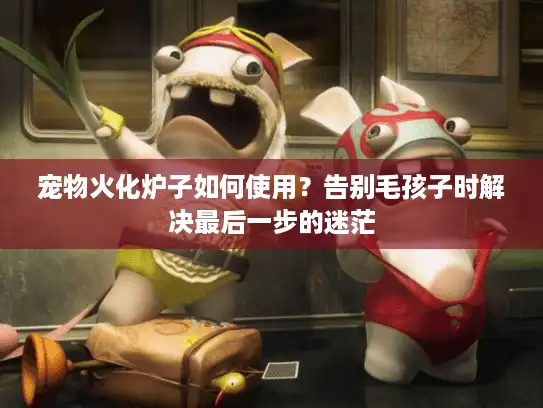 宠物火化炉子如何使用？告别毛孩子时解决最后一步的迷茫