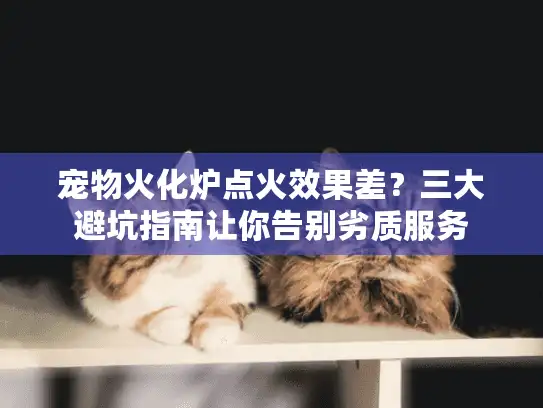 宠物火化炉点火效果差？三大避坑指南让你告别劣质服务