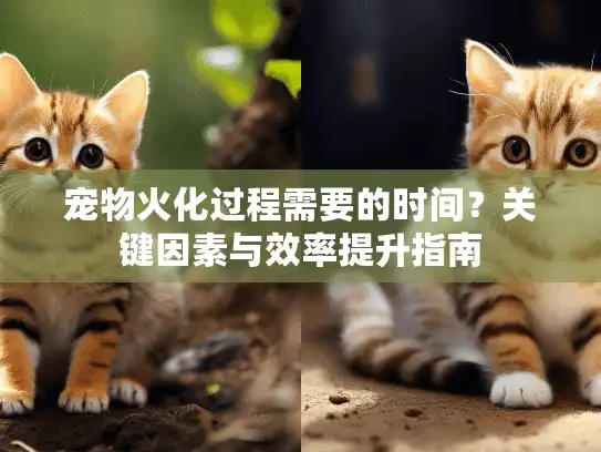 宠物火化过程需要的时间？关键因素与效率提升指南